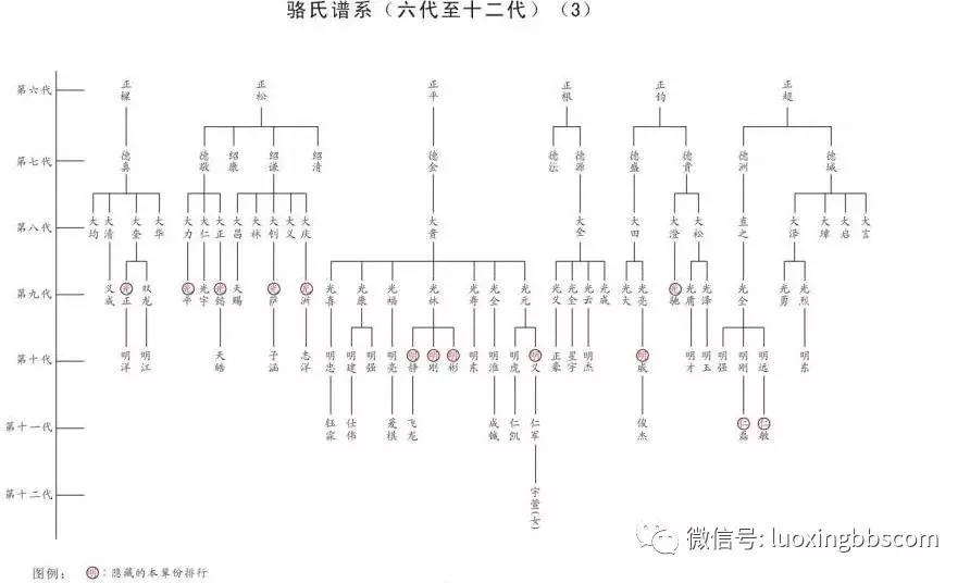 双流骆氏桂友公家族重修族谱序