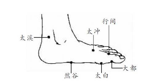 为回阳九针穴之一,是胃腑疾病和人体强壮要穴.