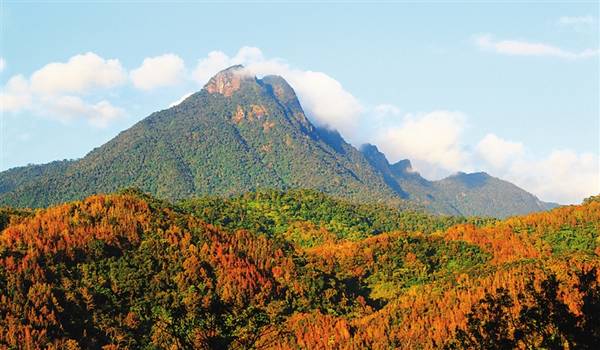 海南五指山市人口_五指山的人口