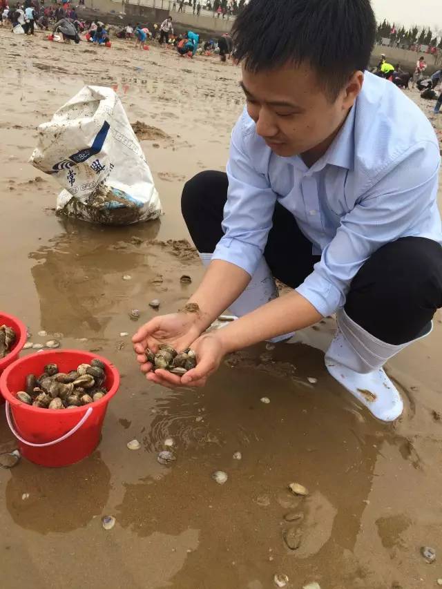 挖蛤喇啦一桶一桶的日照市第二届赶海节带你嗨翻天