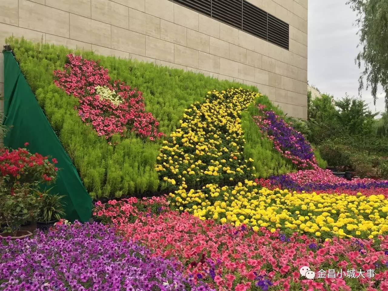 20万盆自育花卉打造12处题花坛金昌相约镍都共赏花开在植物园举行