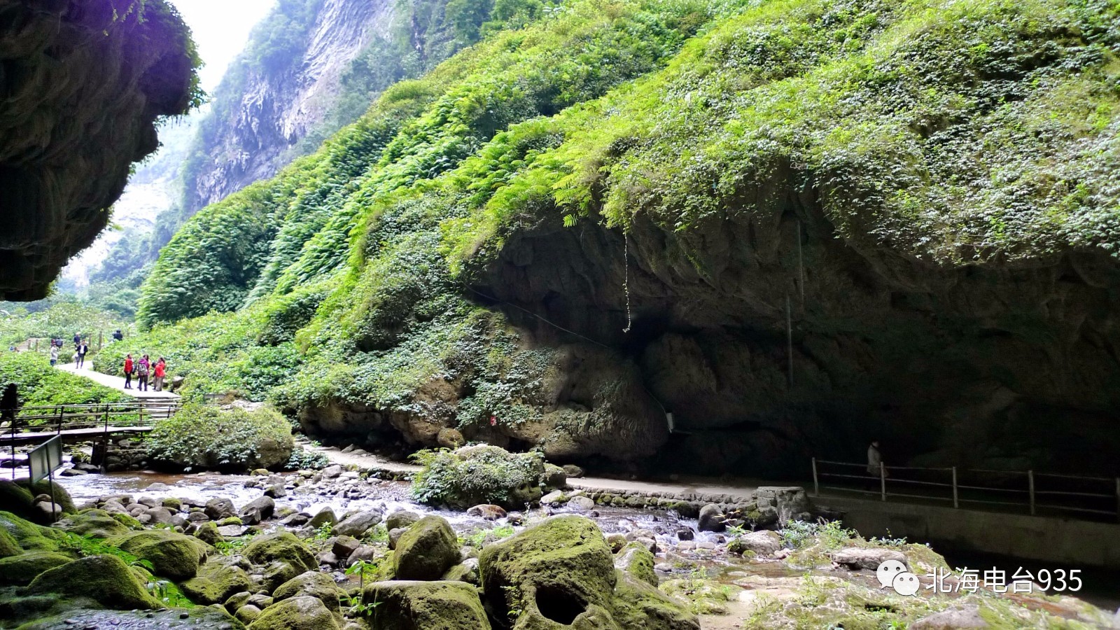 广西大明山国家级自然保护区