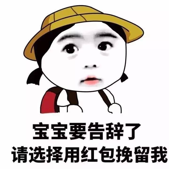 形容人口才好_人口普查图片