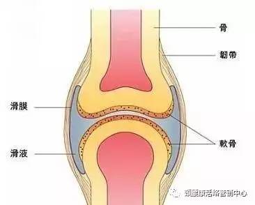 人体关节的活动就好比是机械结构的运动,有旋转,滑动,摩擦等.