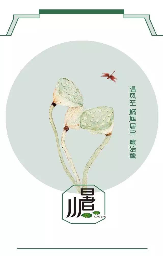 小暑三候小暑的标志:出梅,入伏.