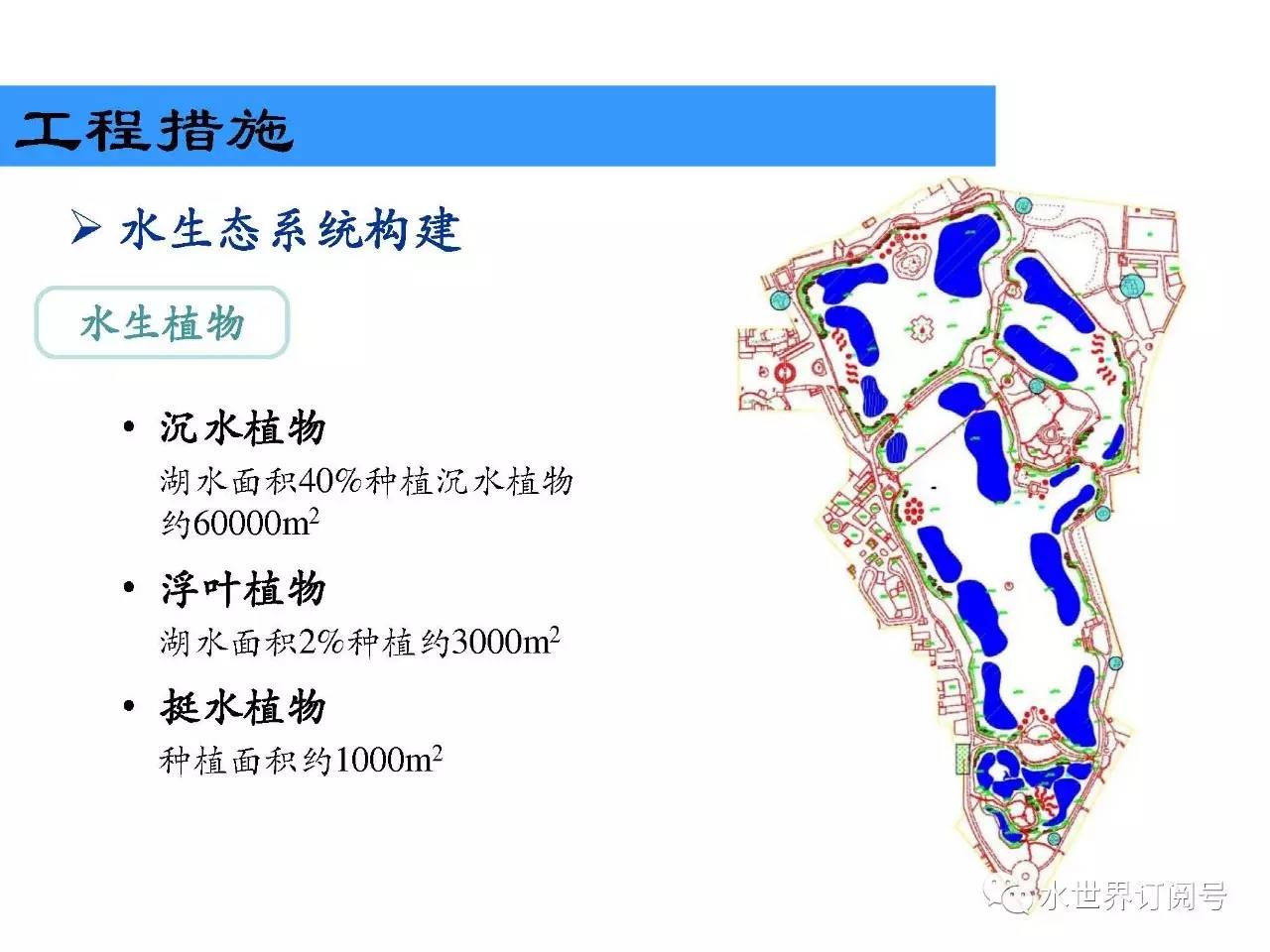 刘剑彤首批海绵城市建设示范湖泊常德滨湖公园水质改善与生态修复工程