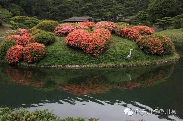 主题乐游 香乐川行 日本的特别名胜栗林公园精品路线