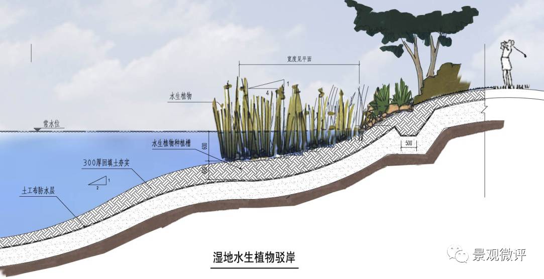 水生植物驳岸▲仿木桩驳岸▲草坡驳岸▲板岩或块石斜坡驳岸(f湖)