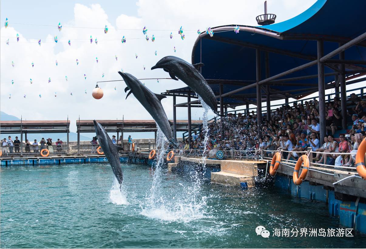 烟雨虽朦胧 别样分界洲 24位诗人分界洲岛雨中采风!