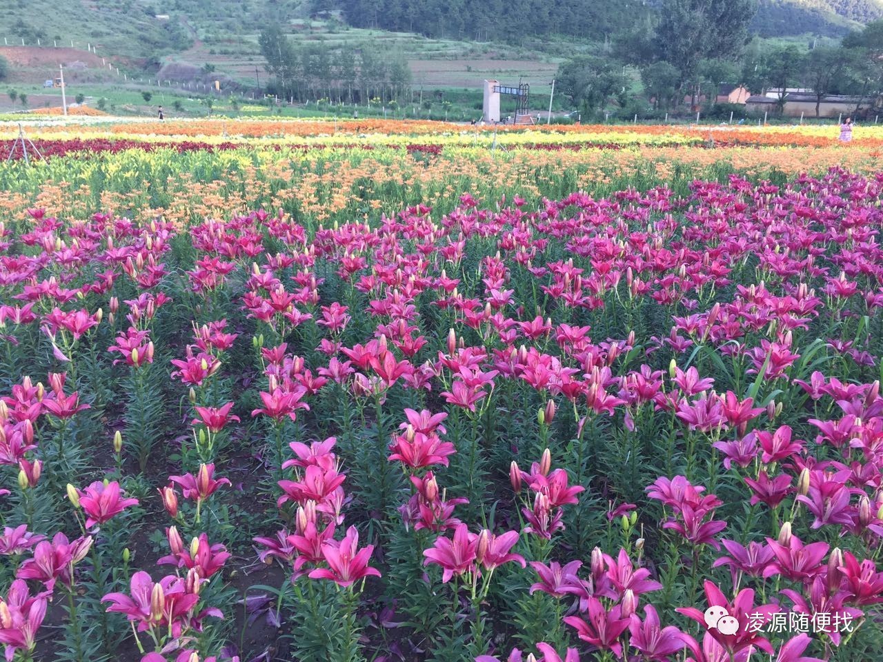红石野谷 - 中国国家地理最美观景拍摄点