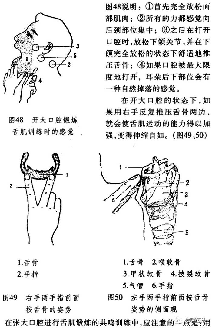 咽音声乐训练:(三)共鸣的基础训练方法(a)