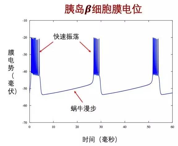 路由器怎么搭接网线_路由器怎么接网线图片