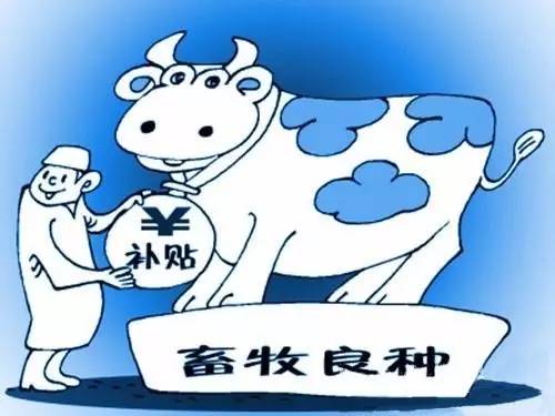 国家奶牛良种补贴安徽省项目启动会