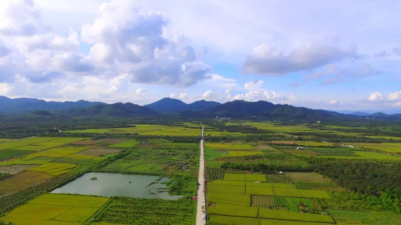 鳌江印象:航拍鳌江风景