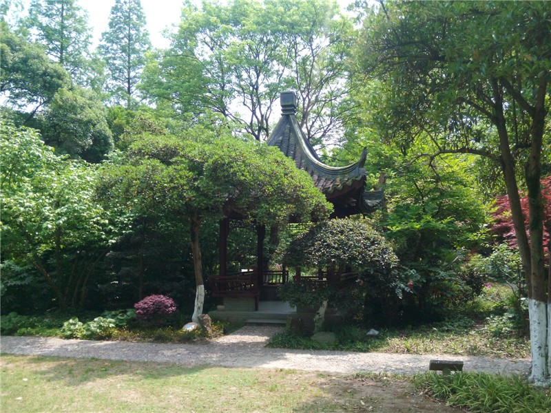 【每日一园】原为远近闻名的"吴家花园"——张堰公园!
