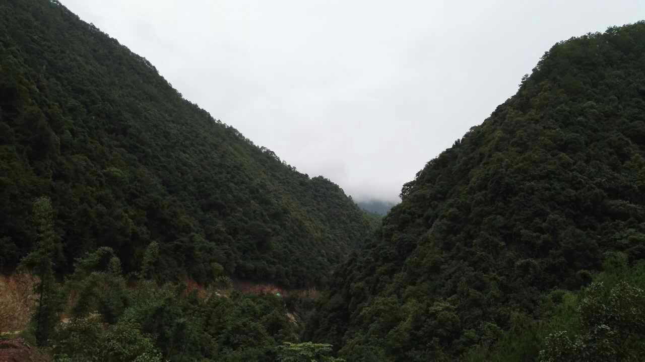 镇沅田坝乡成功引出温泉水