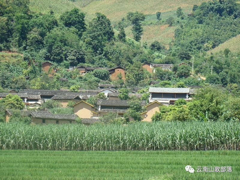 云南山歌伴奏大田坝