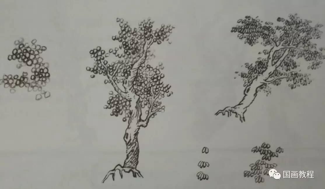 各种树的画法