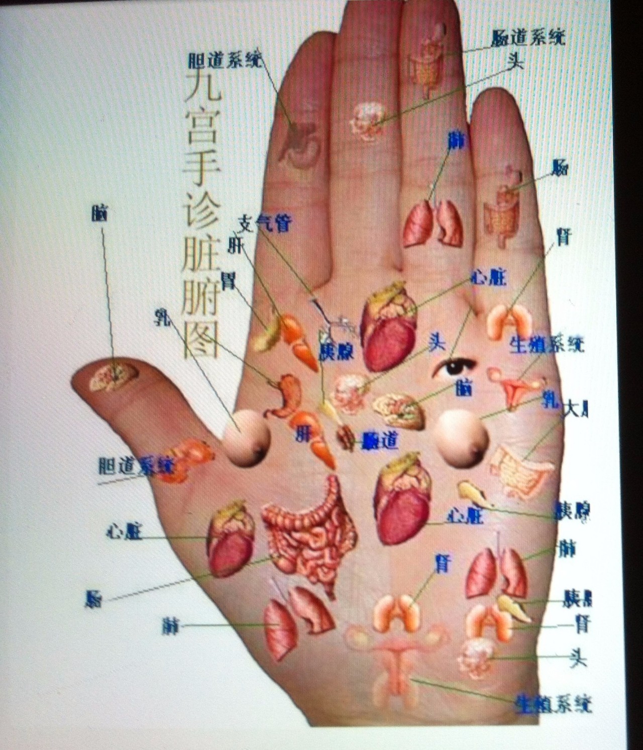 手心出汗是肾虚么