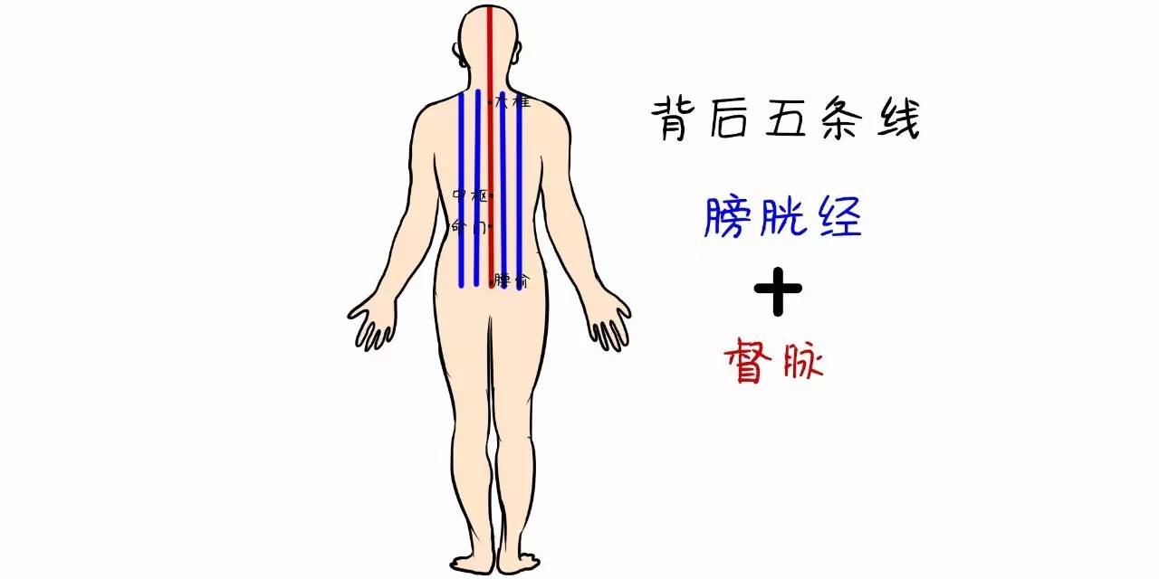 80岁腰不酸背不痛只需这个小动作祛病强身多活20年