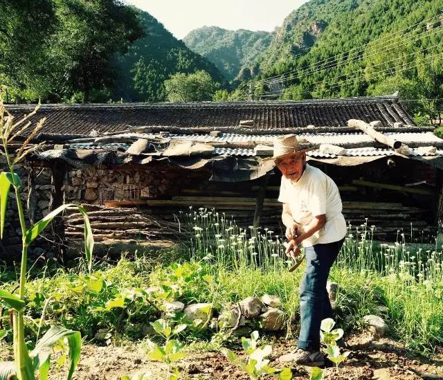 淳朴亦人情,归然于风土 |小川村的别样印象