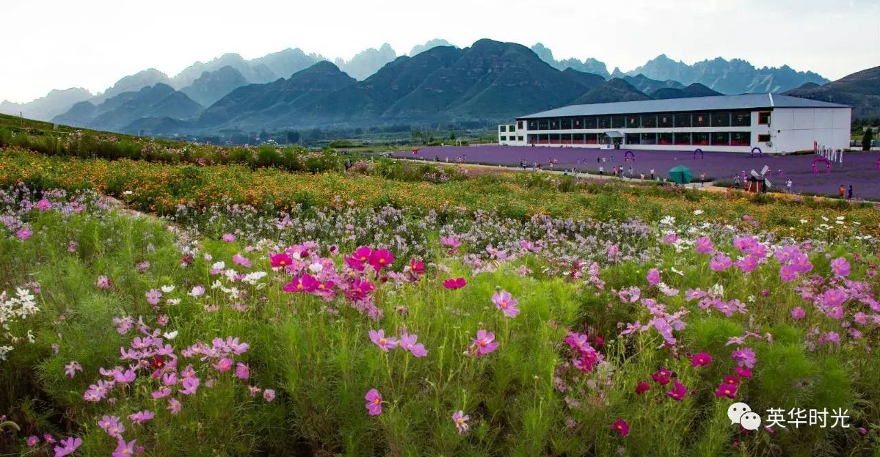 狼牙山徒步遇见花海