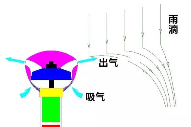 下雨天拿伞不打戴草帽猜成语_路飞草帽图片(2)