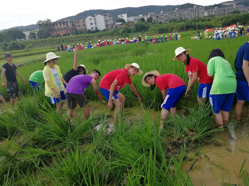 湖南师大附中2016级学生农村生活体验全记录