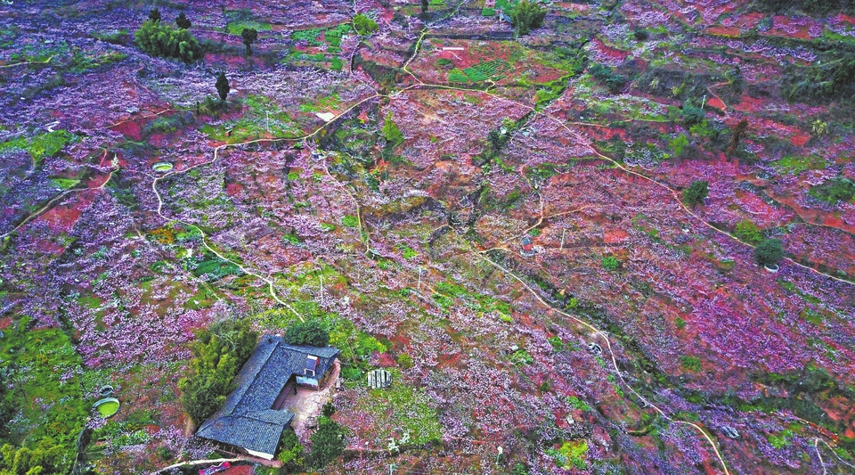 明园森林都市入住人口_明园森林都市小区租房,二室二厅,明园森林都市5800精装(3)