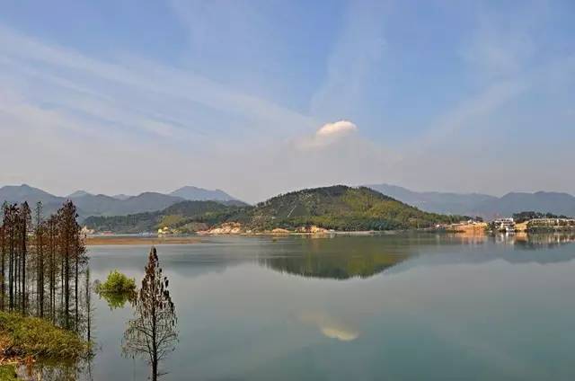 令人心旷神怡岛上苍松翠竹,果园茶园漫山遍野四明湖(宁波余姚市大隐镇