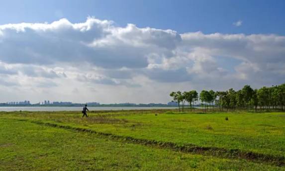 王母湖 王母湖又名"杨马湖",坐落在孝感市东南,距市区约六公里