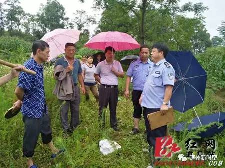 道县三兄弟因自留地起纠纷法官冒雨执行案件