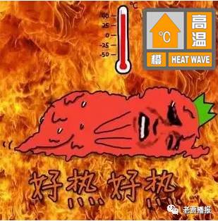 高温警报!洛阳将迎来41°c"逆天"高温?有个事你要知道.