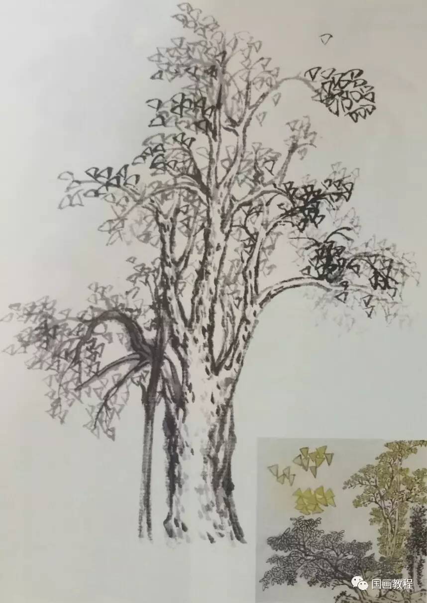 椿槐枫银杏芭蕉的画法