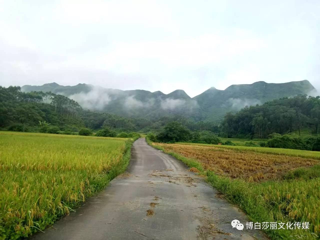 广西博白县多少人口_广西博白县地图