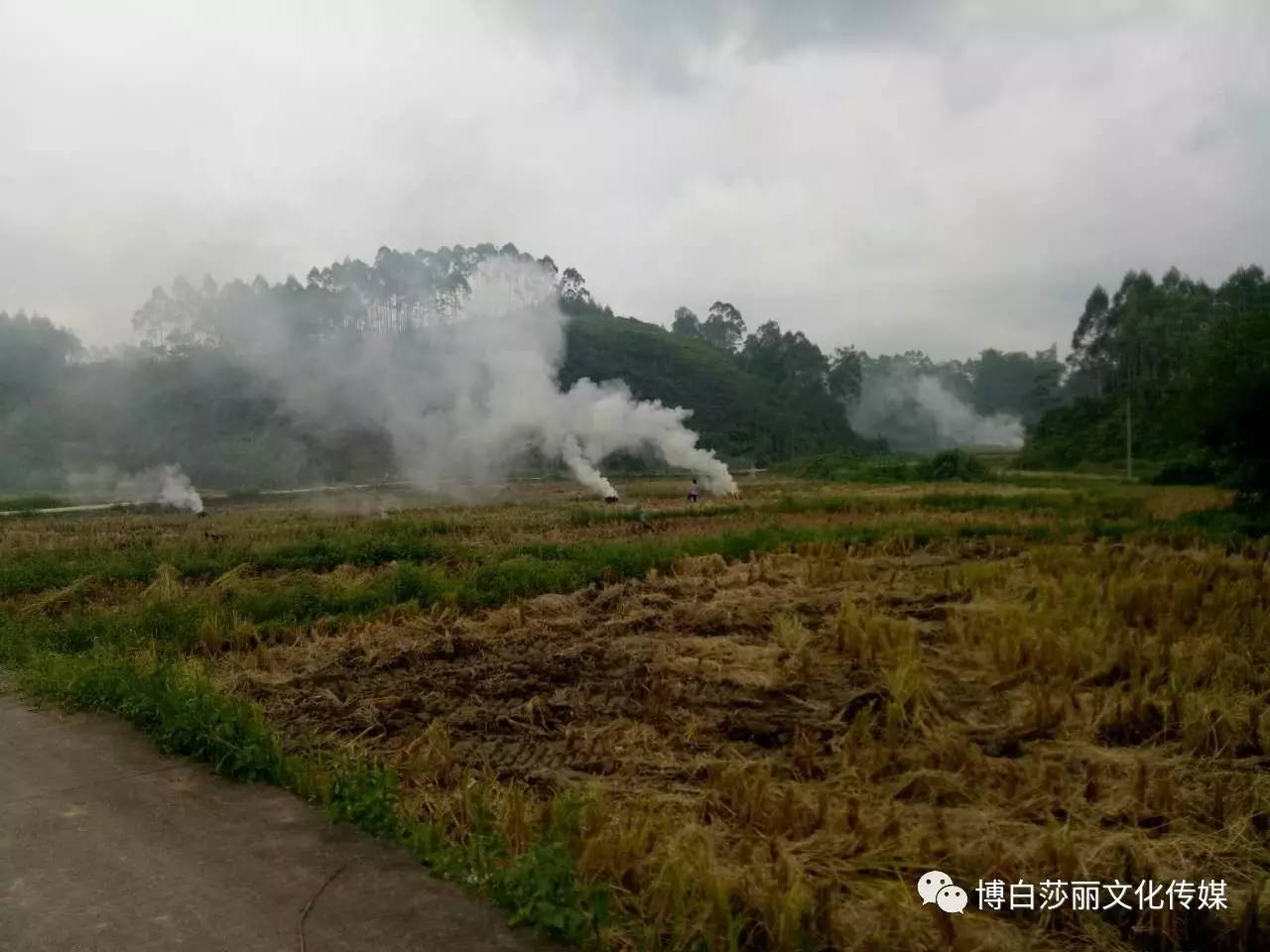 广西博白县多少人口_广西博白县地图