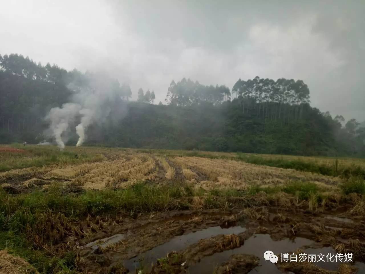 广西博白县多少人口_广西博白县地图