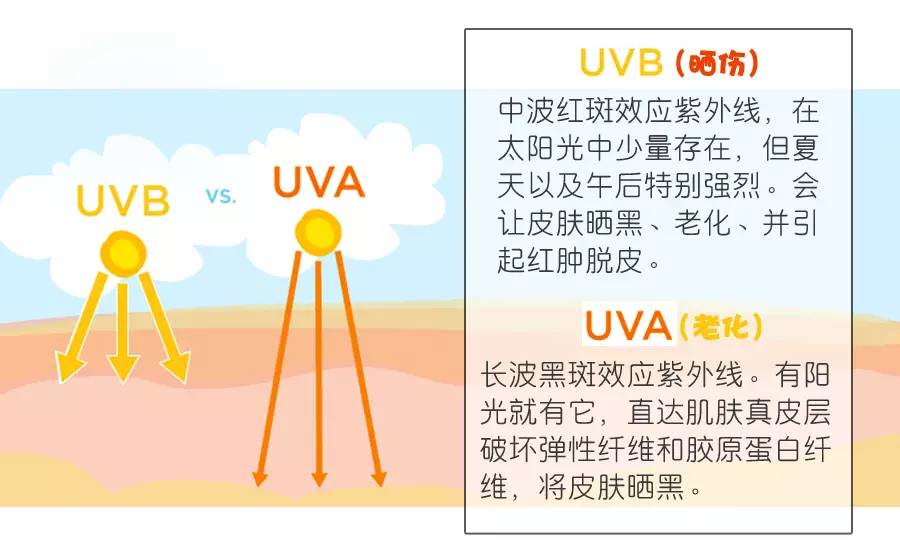 所以,uva和uvb,就是阳光中伤害我们皮肤的元凶啦,是我们要"防"的对象!