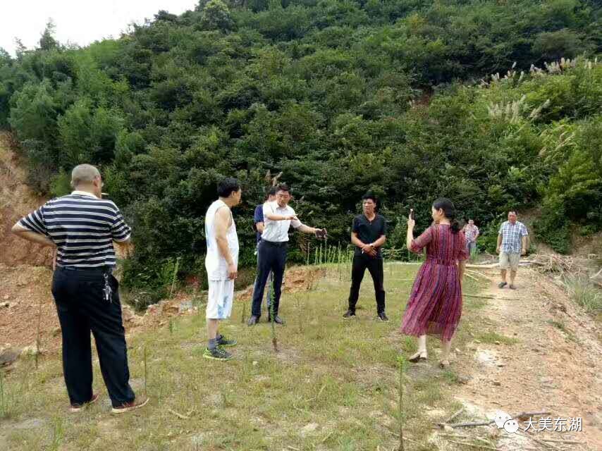 太平桥村建档立卡贫困户肖子明激动地说"这次水灾,我家中的房屋倒了