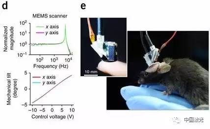 北京大学:新一代微型双光子荧光显微镜研制成功