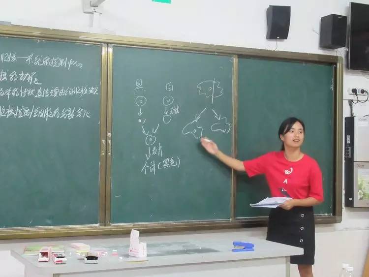 教案怎么写_写秋天的作文评讲教案_如何写教案