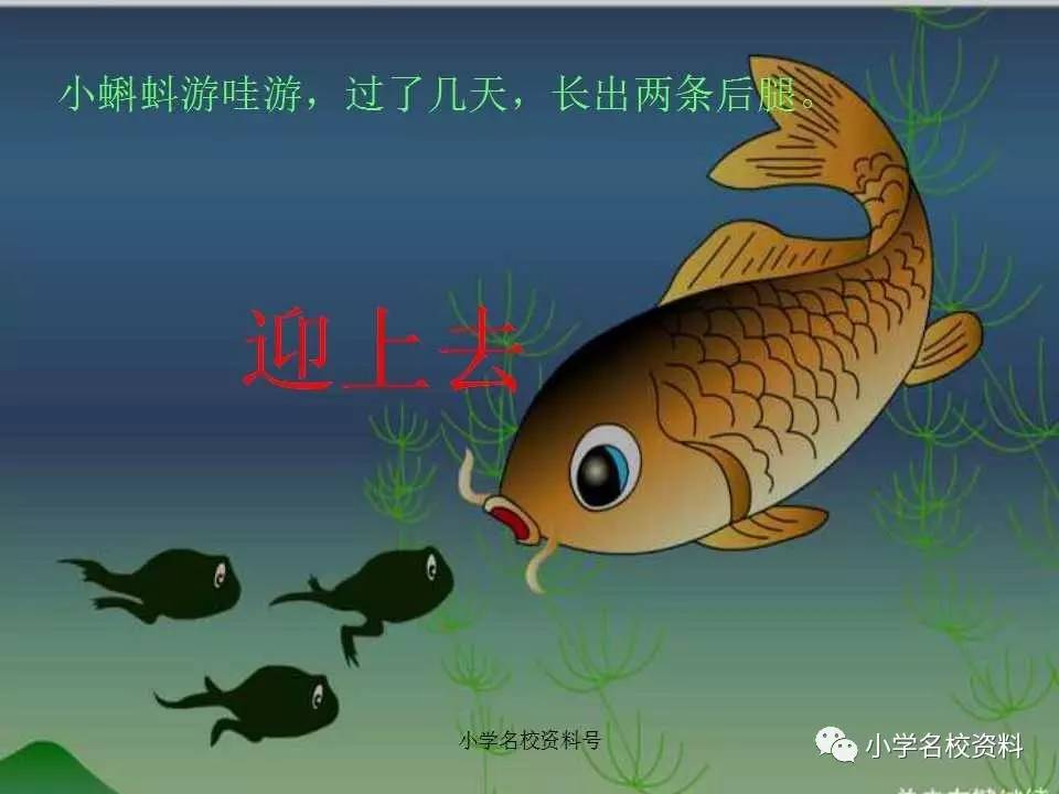 最新部编版小学语文二上第一课《小蝌蚪找妈妈 课文 朗读 讲解