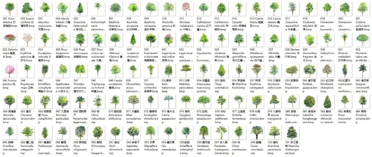 树种类