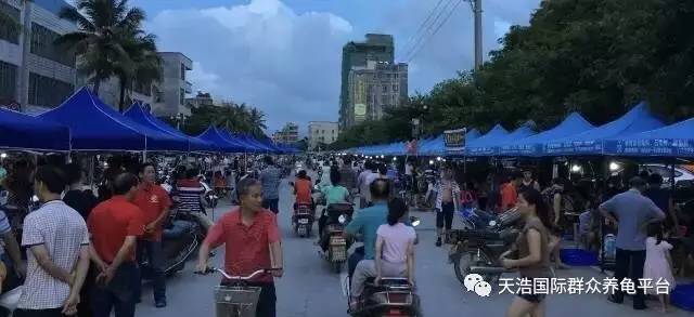 电白人口0_电白一中图片(3)