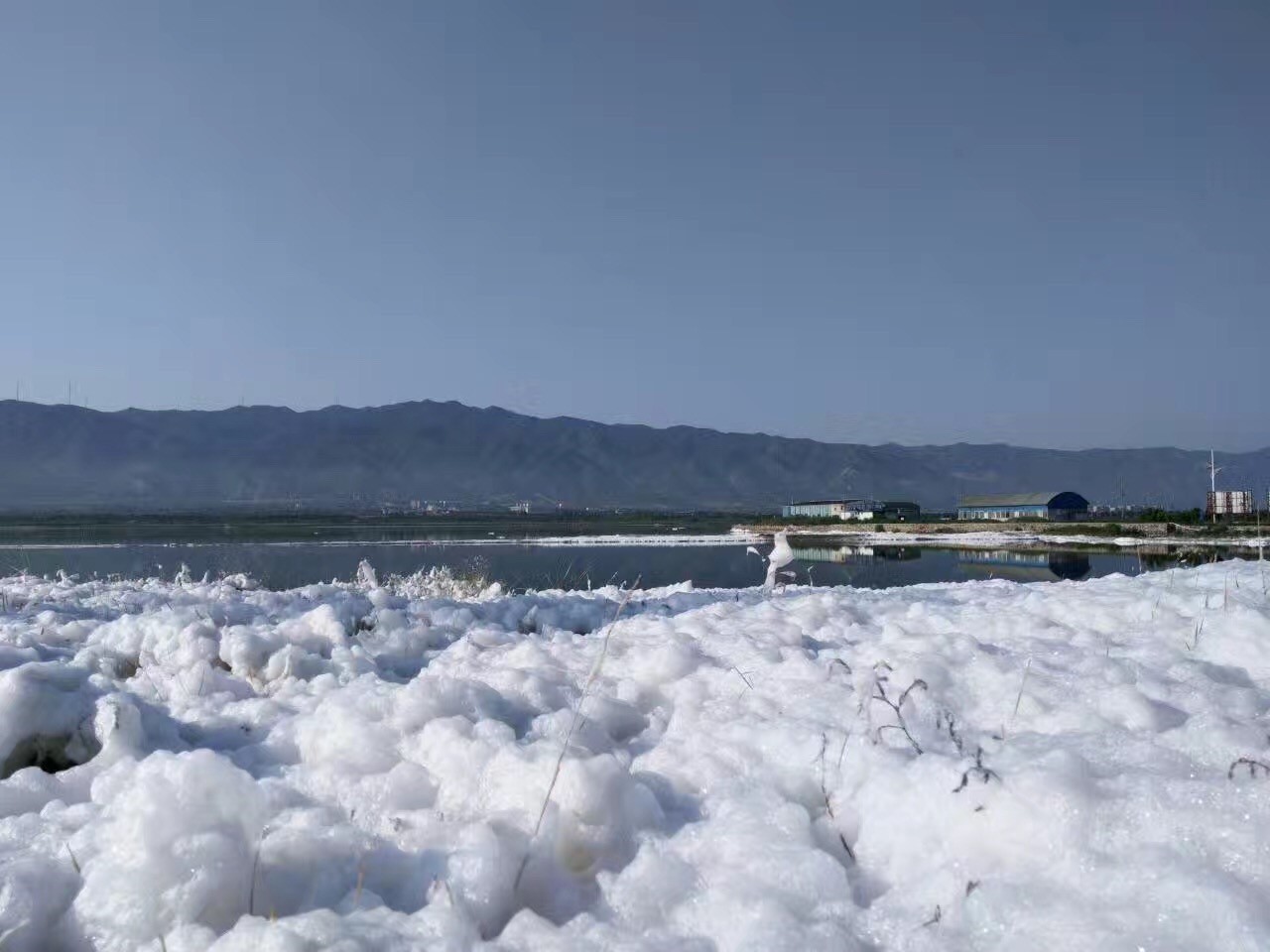 燃鹅,这是真的! 请看"千古中条一池雪" 在中国死海运城盐湖里的绽放.