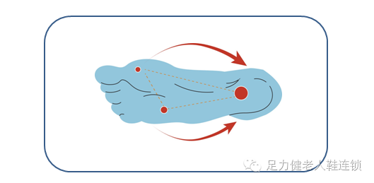 前脚掌的压力分散到整个脚掌,在行走的过程中,动态调整足部受力平衡