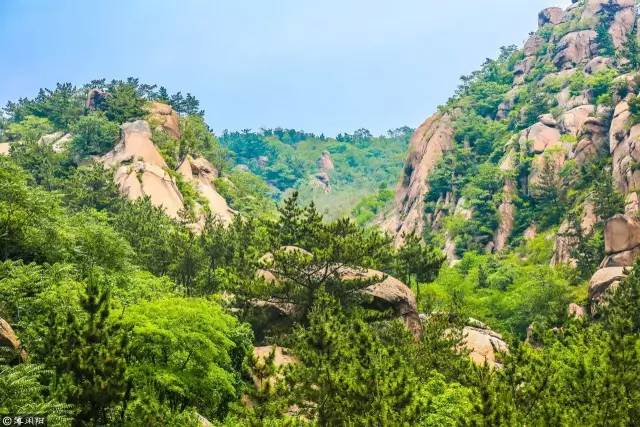 除了毛公山,大美城阳还有一处太和山原生态风景区!也是免费景区哦!