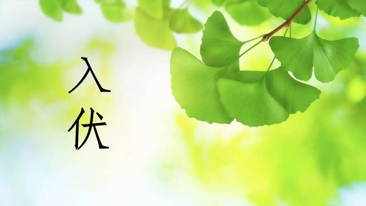 今日入伏 入伏,即入三伏天 热在三伏,冷在三九 一年中最热的时段来了