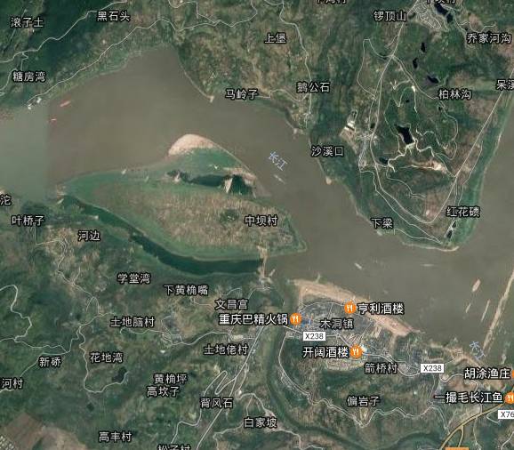 中坝岛卫星图图片
