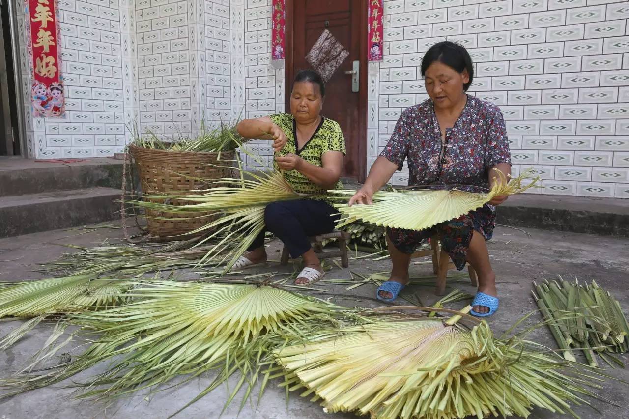 小小蒲扇记忆中的童年妈妈的味道